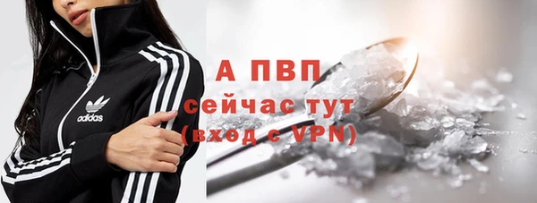 эйфоретик Тутаев