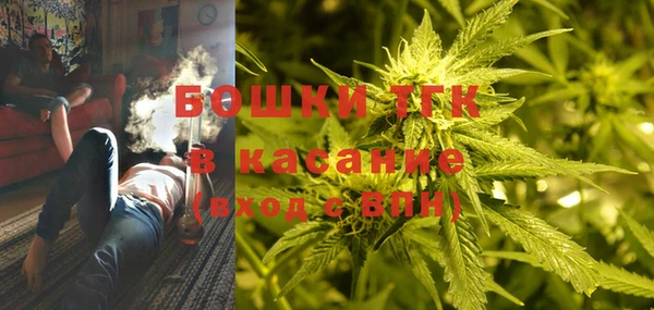 PSILOCYBIN Новозыбков