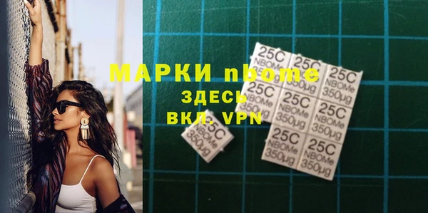 шишки Осташков