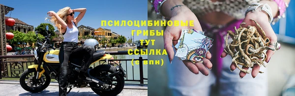 MDMA Premium VHQ Туринск