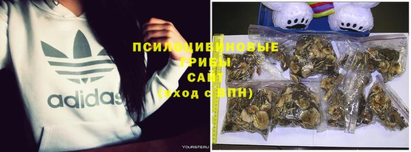 синтетический гашиш Няндома