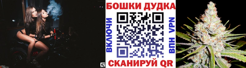 купить Северская Бошки Шишки ГИДРОПОН